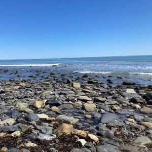 Meet your Posher, Abigail